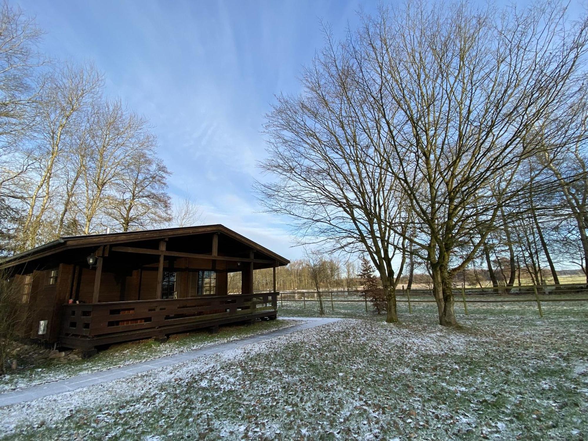 Heidegut Eschede Reitsportanlage Und Feriendorf الغرفة الصورة