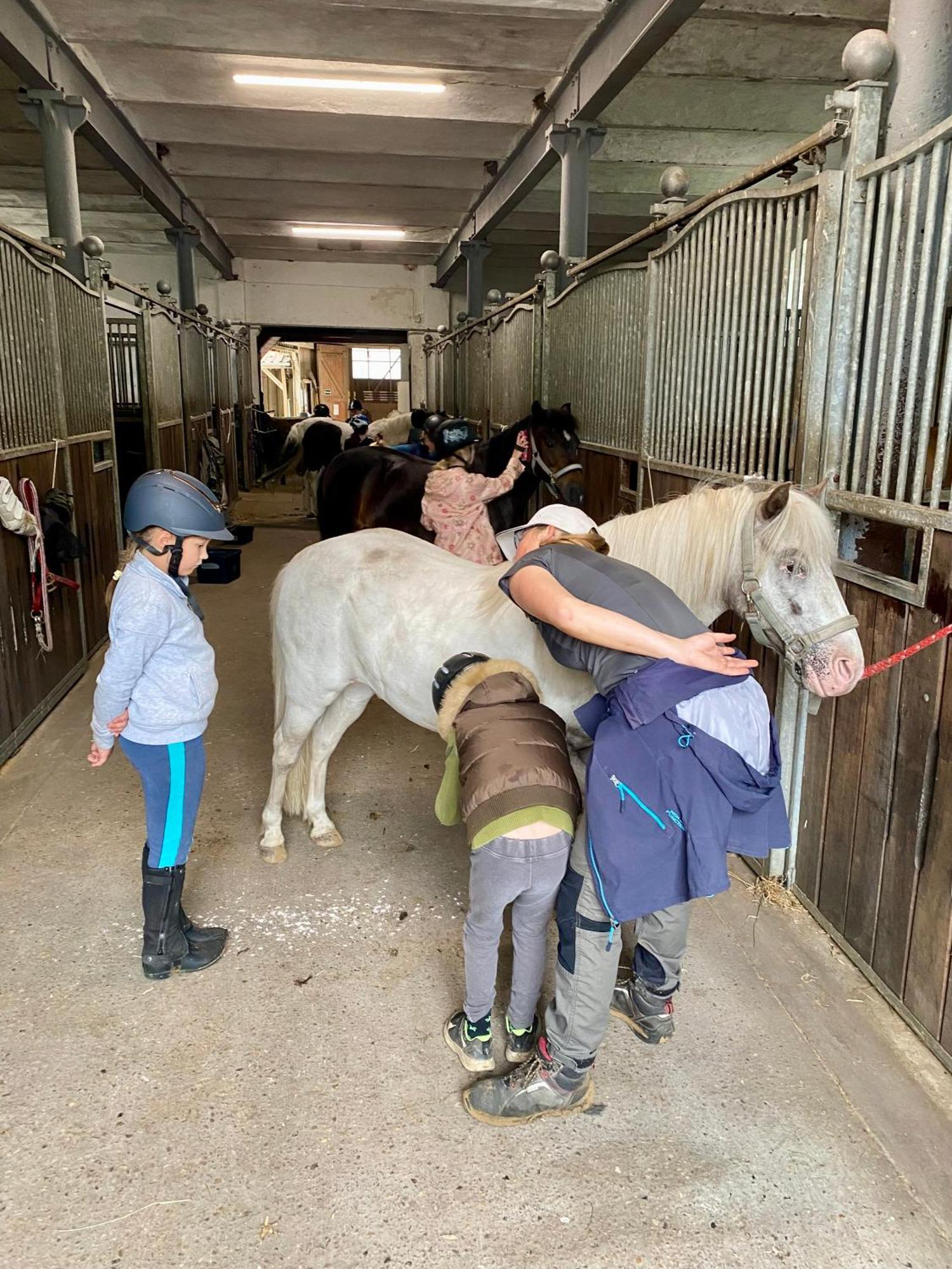 Heidegut Eschede Reitsportanlage Und Feriendorf المظهر الخارجي الصورة