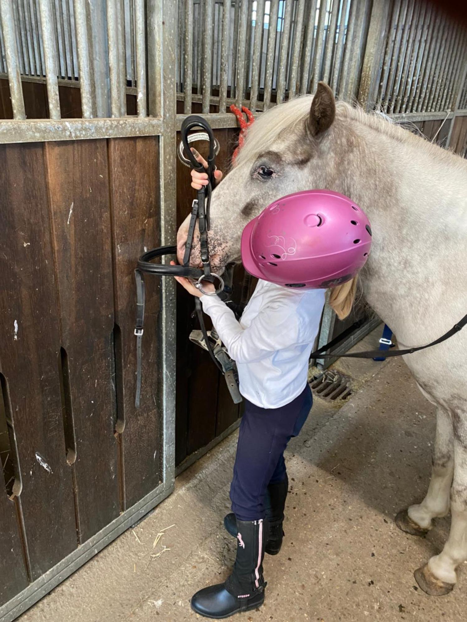 Heidegut Eschede Reitsportanlage Und Feriendorf المظهر الخارجي الصورة