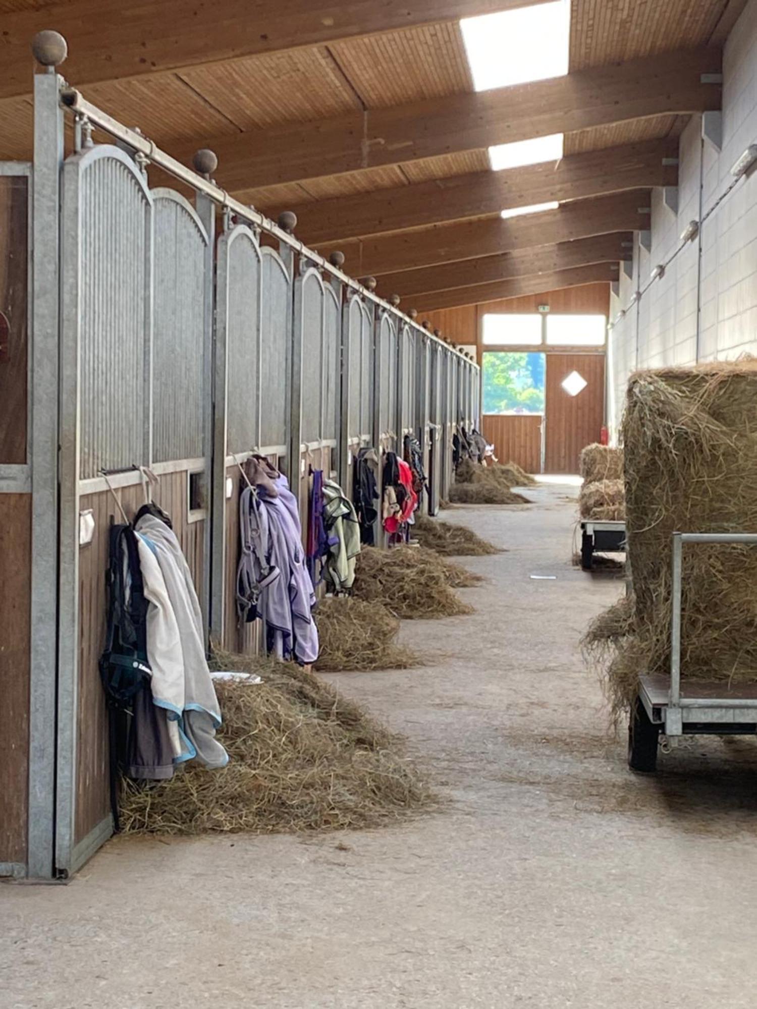 Heidegut Eschede Reitsportanlage Und Feriendorf المظهر الخارجي الصورة