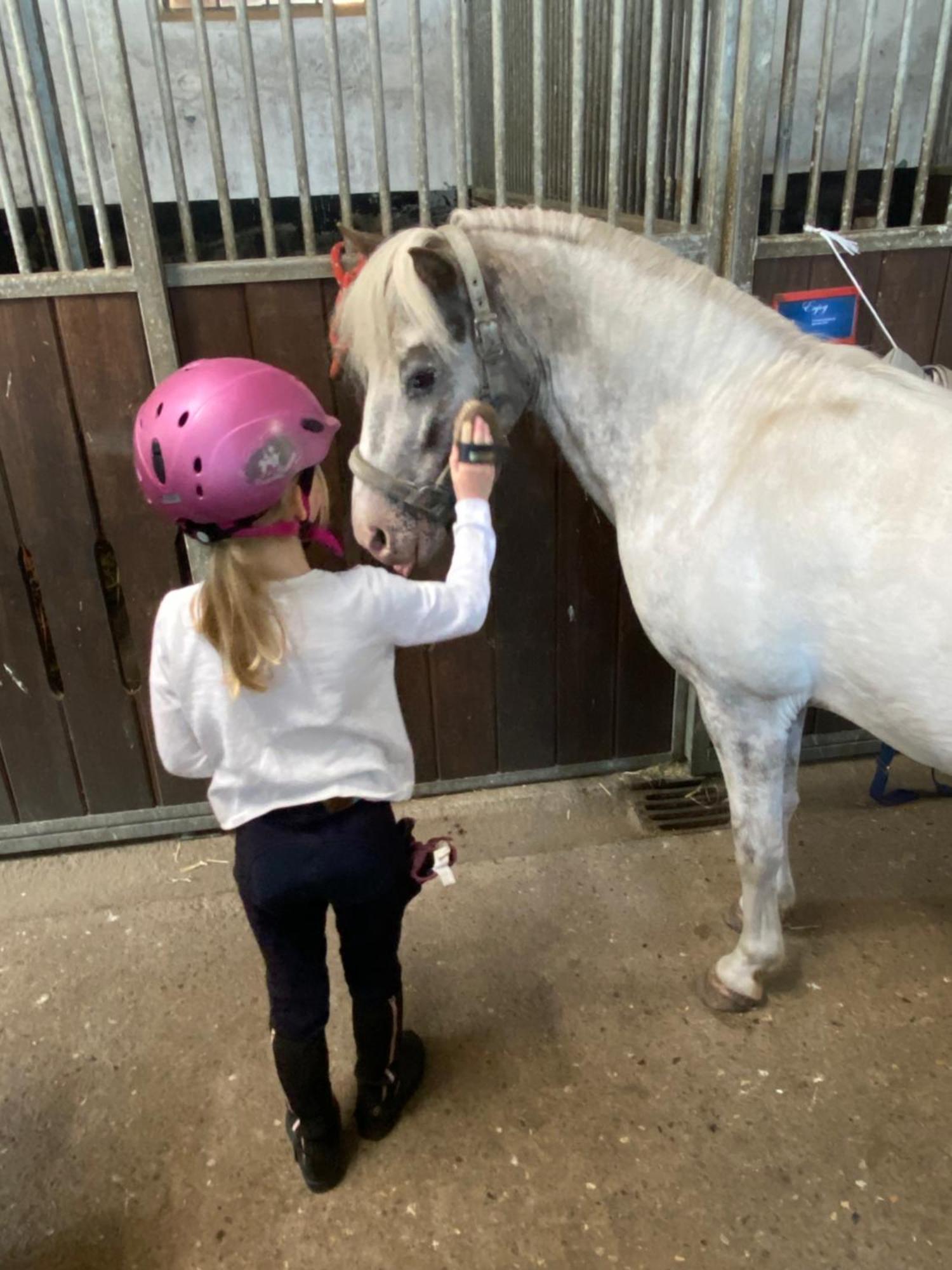 Heidegut Eschede Reitsportanlage Und Feriendorf المظهر الخارجي الصورة
